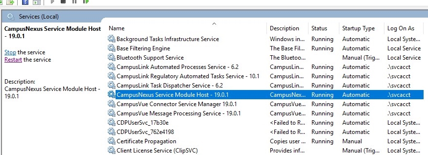 Service Module Host